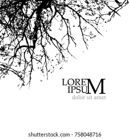 Trees background. forest. Vector