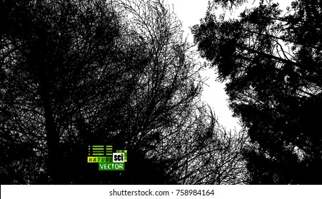 Trees background. forest. Vector