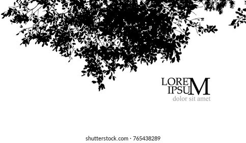 Trees background. forest. Vector