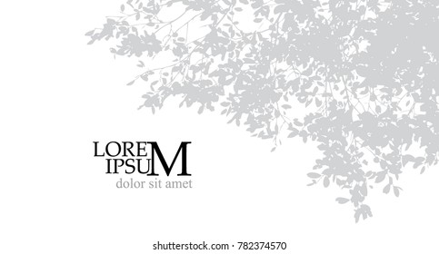 Trees background. forest. Vector