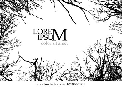 Trees background. frame forest. Vector