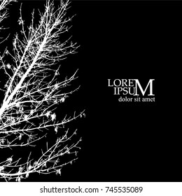 Trees background. Vector