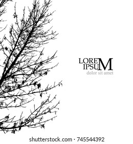 Trees background.  Vector