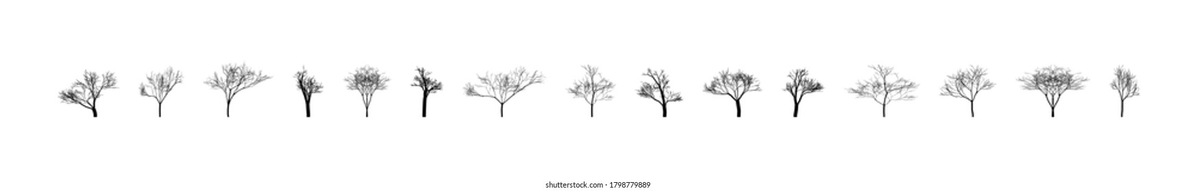 Trees. Bare trees. Template bare trees for winter design. Tree in flat design. Vector illustration