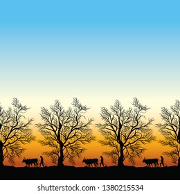 trees at beautiful sunset time border