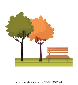 trees and bench park icon over white background, vector illustration
