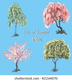Trees birch, cherry, willow. vector trees sketch