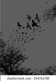 Trees and birds silhouette in black and grey colors.