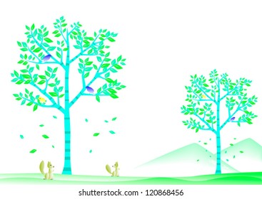 trees birds squirrel