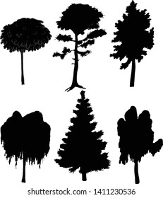 Trees black silhouette on a white background vector