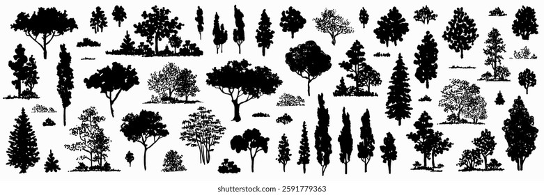 Trees black sketch set. Hand drawn graphic forest silhouette. Nature simple clipart. Composition of different trees, shrubs and grass isolated on white background. Vector illustration