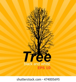 Trees black and white isolated on Sunburst yellow background.