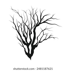 Trees branch silhouette isolated on white background.