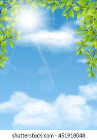 Trees branches with green leaves on blue sky background. Vector nature background.