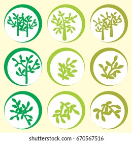 Trees and branches of green olives in the circle