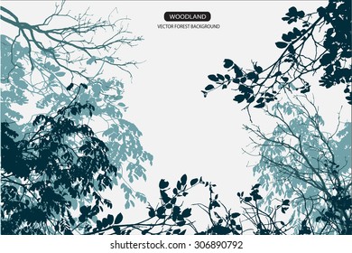 Trees and branches silhouette in aqua. Detailed vector illustration. Forest banner.