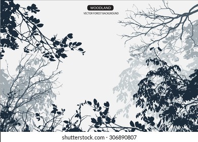 Tree Branch Leaves Silhouette Images Stock Photos Vectors Shutterstock