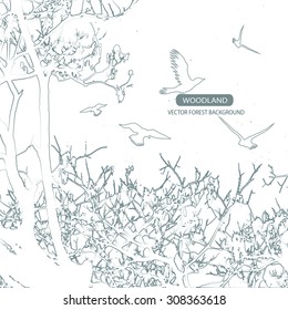 Trees and branches silhouette in aqua. Detailed vector illustration. Forest banner.