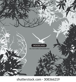 Trees and branches silhouette in aqua. Detailed vector illustration. Forest banner.