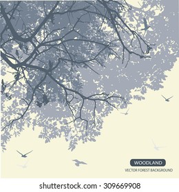 Trees and branches silhouette in aqua. Detailed vector illustration. Forest banner.
