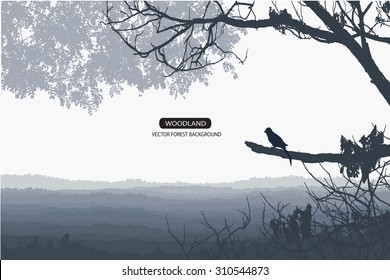 Trees and branches silhouette in aqua. Detailed vector illustration. Forest banner.