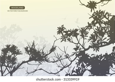 Trees and branches silhouette in aqua. Detailed vector illustration. Forest banner.