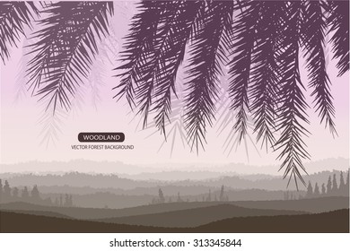 Trees and branches silhouette in aqua. Detailed vector illustration. Forest banner. palm leaf silhouette.twilight scene.