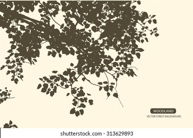 Trees and branches silhouette in aqua. Detailed vector illustration. Forest banner.