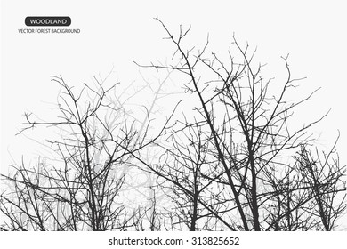 Trees and branches silhouette in aqua. Detailed vector illustration. Forest banner.