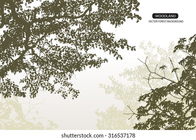 Trees and branches silhouette in aqua. Detailed vector illustration. Forest banner.