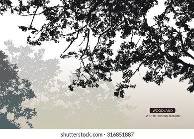 Trees and branches silhouette in aqua. Detailed vector illustration. Forest banner.