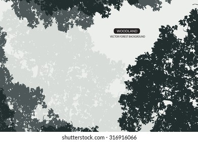 Trees and branches silhouette in aqua. Detailed vector illustration. Forest banner.