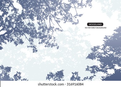 Trees and branches silhouette in aqua. Detailed vector illustration. Forest banner.