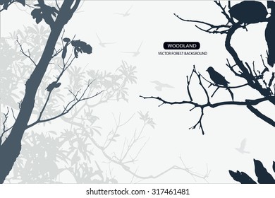 Trees and branches silhouette in aqua. Detailed vector illustration. Forest banner.