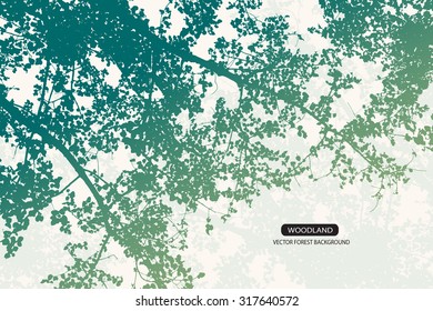 Trees and branches silhouette in aqua. Detailed vector illustration. Forest banner.