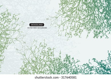 Trees and branches silhouette in aqua. Detailed vector illustration. Forest banner.