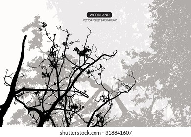 Trees and branches silhouette in aqua. Detailed vector illustration. Forest banner. palm leaf silhouette.