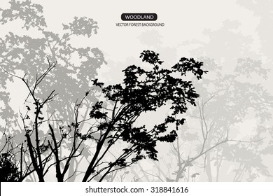 Trees and branches silhouette in aqua. Detailed vector illustration. Forest banner. palm leaf silhouette.