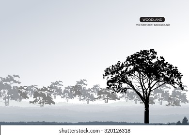 Trees and branches silhouette in aqua. Detailed vector illustration. Forest banner.