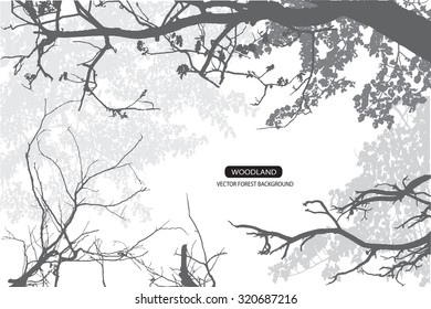 Trees and branches silhouette in aqua. Detailed vector illustration. Forest banner.