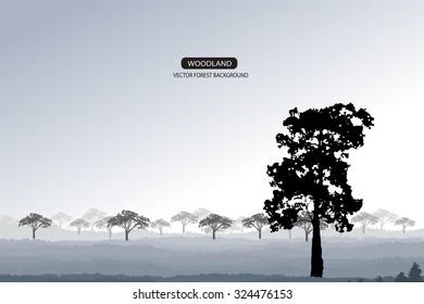 Trees and branches silhouette in aqua. Detailed vector illustration. Forest banner.