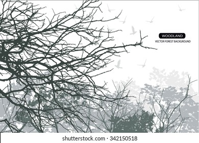 Trees and branches silhouette in aqua. Detailed vector illustration. Forest banner.