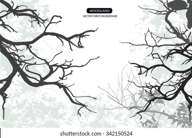 Trees and branches silhouette in aqua. Detailed vector illustration. Forest banner.