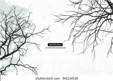 Trees and branches silhouette in aqua. Detailed vector illustration. Forest banner.