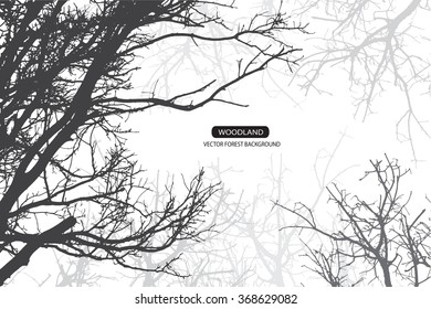 Trees and branches silhouette in aqua. Detailed vector illustration. Forest banner.
