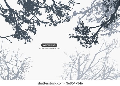 Trees and branches silhouette in aqua. Detailed vector illustration. Forest banner.