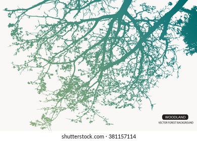 Trees and branches silhouette in aqua. Detailed vector illustration. Forest banner.