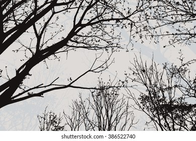 Trees and branches silhouette in aqua. Detailed vector illustration. Forest banner.