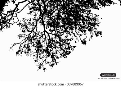 Trees and branches silhouette in aqua. Detailed vector illustration. Forest banner.