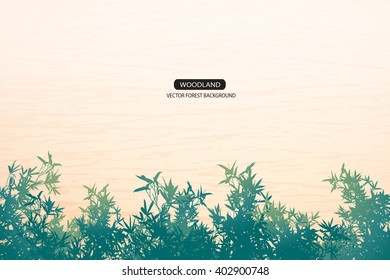Trees and branches silhouette in aqua. Detailed vector illustration. Forest banner.